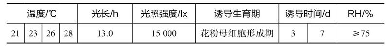 1756713005682791